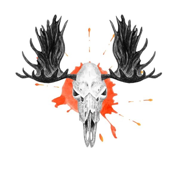 Watercolor Moose Skull — Stock Vector