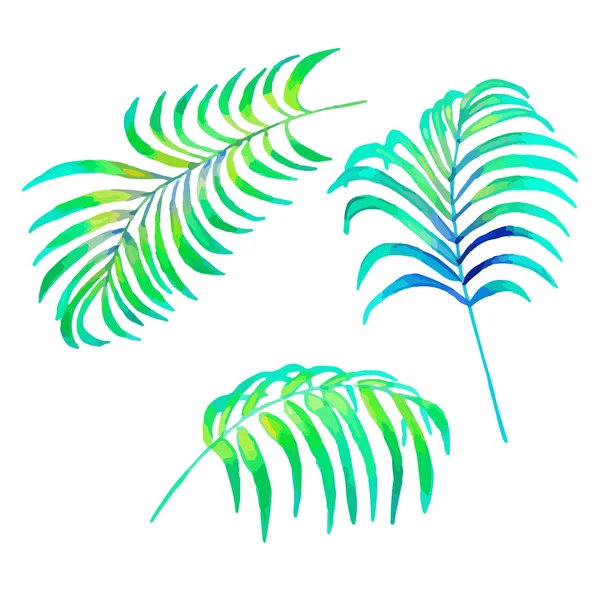 水彩のヤシの葉 — ストックベクタ