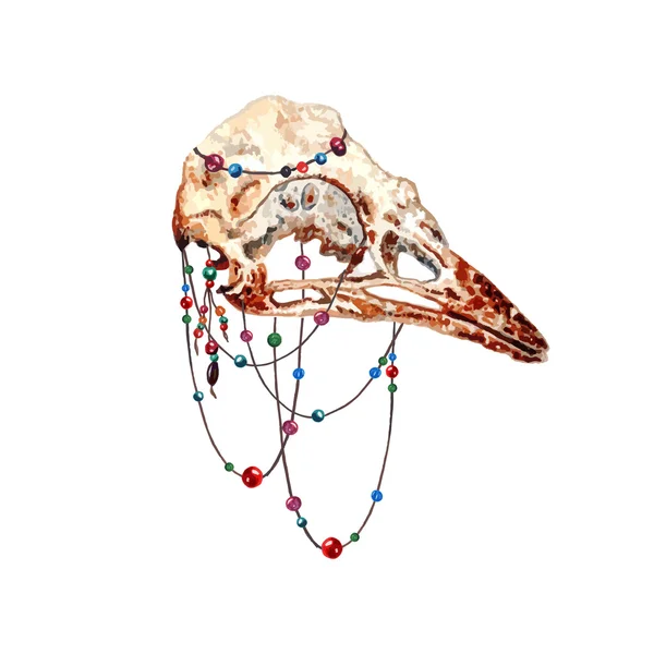 Watercolor Bird Skull — Stock vektor