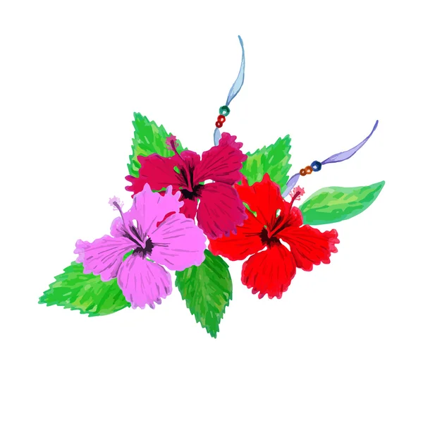 Acuarela Hibiscus flores — Vector de stock