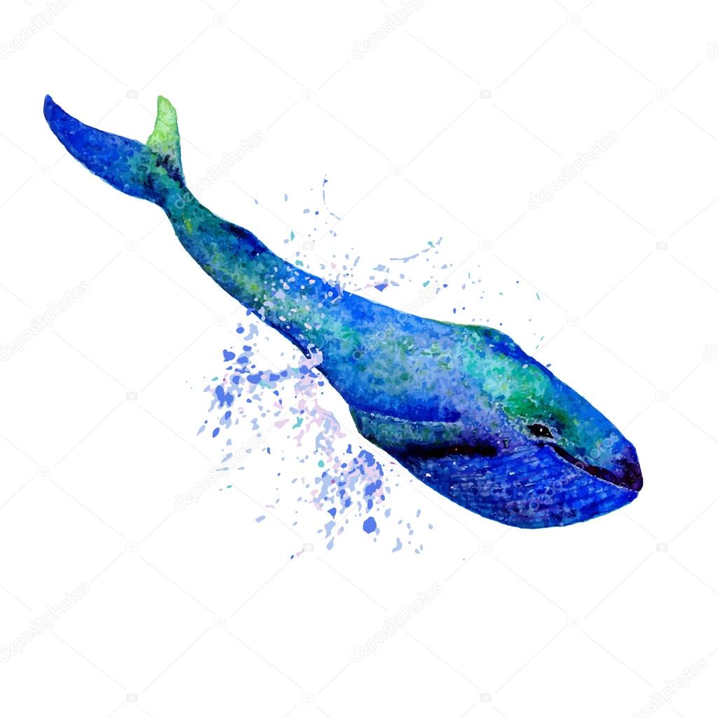 Watercolor Blue Whale & Water Splash Logo vector design template.  Whale mascot, team logo design. Ocean Wildlife logotype. Elegant concept for Kid's Art School, Drawing & Painting courses. Children's Swimming Lessons creative symbol. Creative logo f