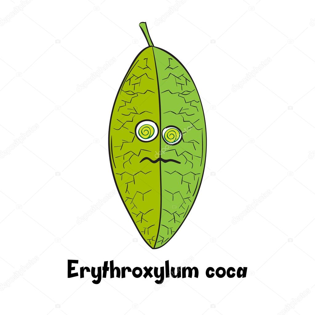 Hoja de coca de dibujos animados , vector, gráfico vectorial