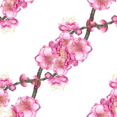 Suluboya Erik Deseni.