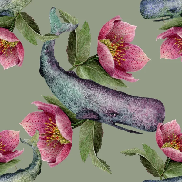 Acuarela Hellebore flor patrón sin costura . —  Fotos de Stock