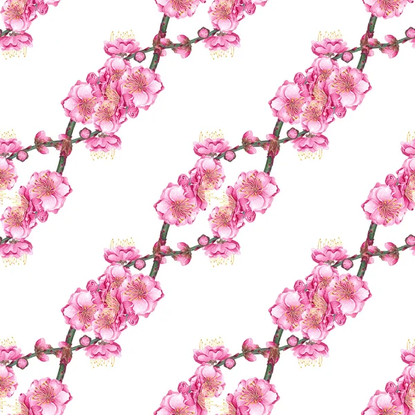 Cherry  blossom seamless pattern