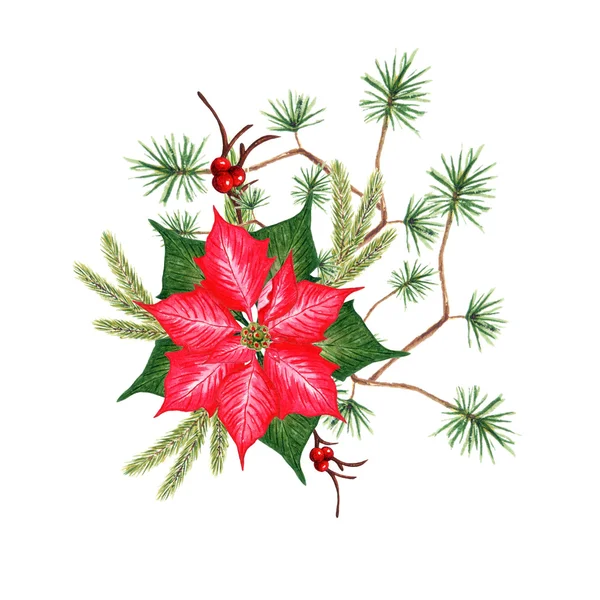 Akvarell julstjärna blomma — Stockfoto