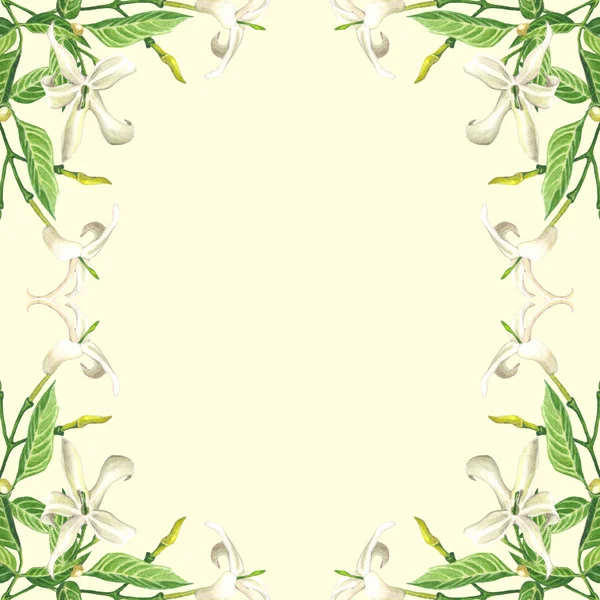 Watercolor Jasmine blossom frame — Stock Photo, Image