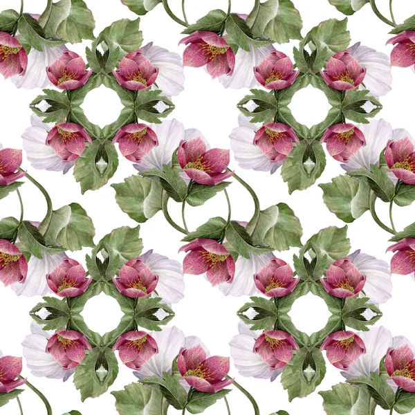 Aquarell Hellebore Blume nahtloses Muster. — Stockfoto