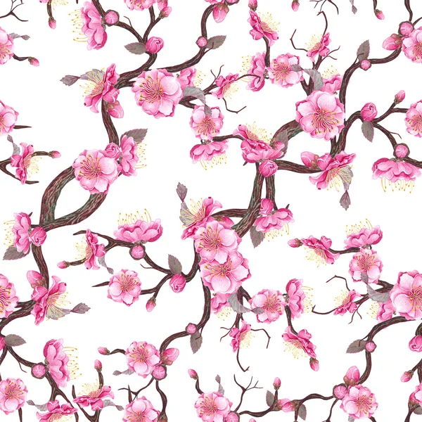 Sakura blossom pattern.