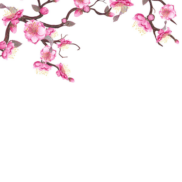 Watercolor plum frame.