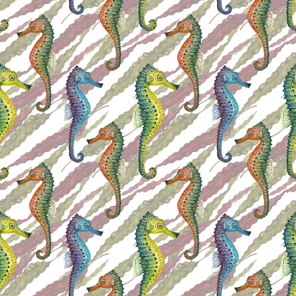 Laminaria & Seahorse mønster . - Stock-foto