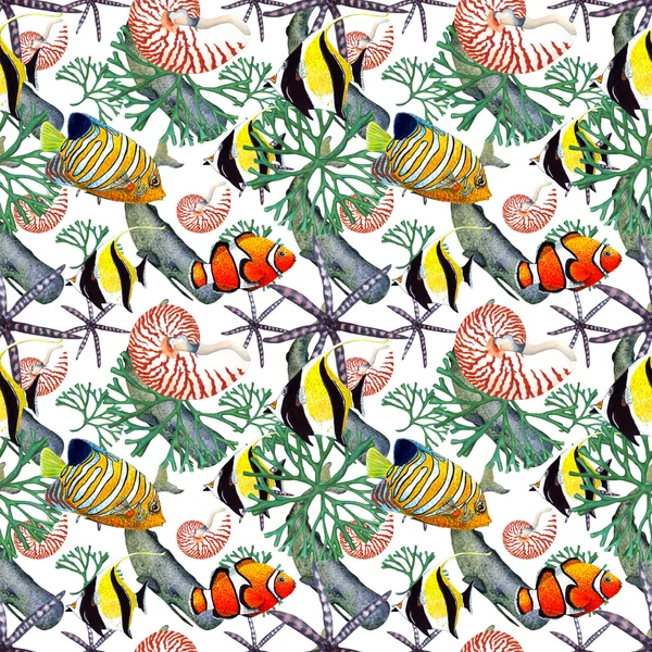 Aquarelle motif de poissons tropicaux . — Photo