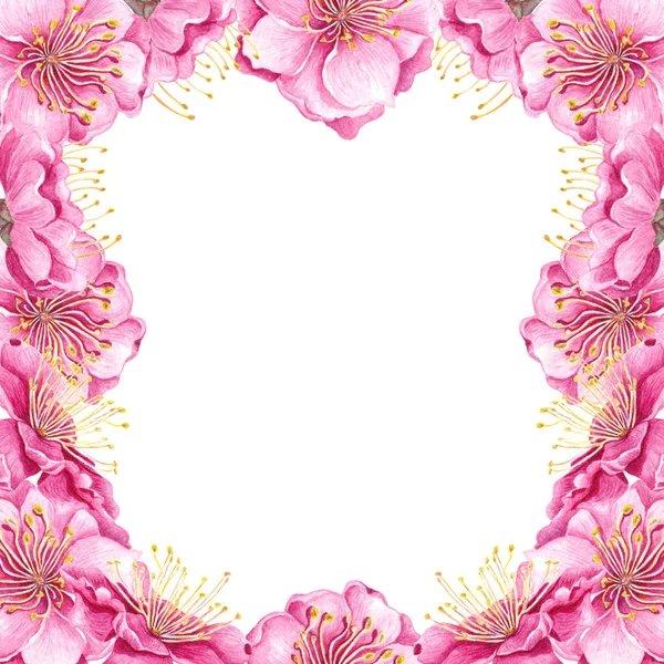 Peach flowers frame. — Stock Photo, Image