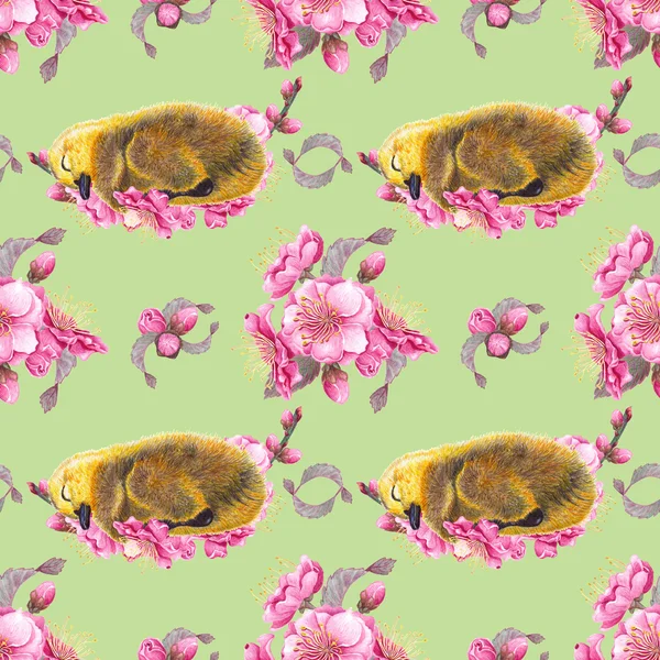 Duckling & Flower pattern. — Stock Photo, Image