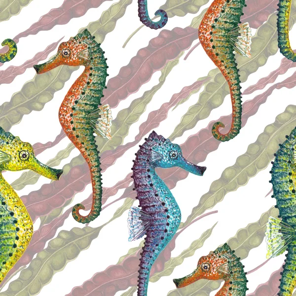 Laminaria & Seahorse pattern. — Stock Photo, Image