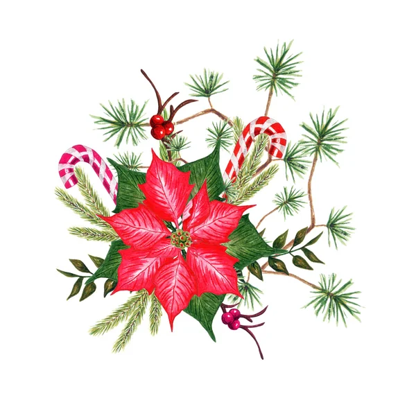 Akwarela kwiat Poinsettia — Zdjęcie stockowe