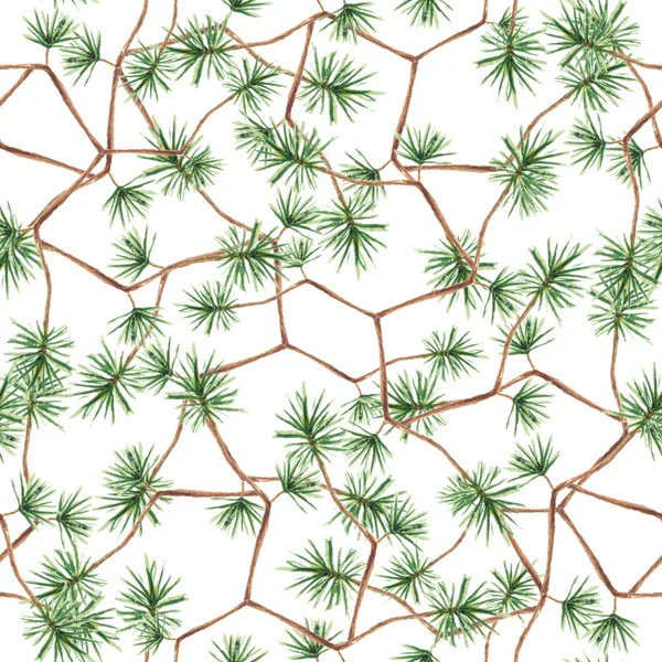 Pine twig seamless pattern Royalty Free Stock Images