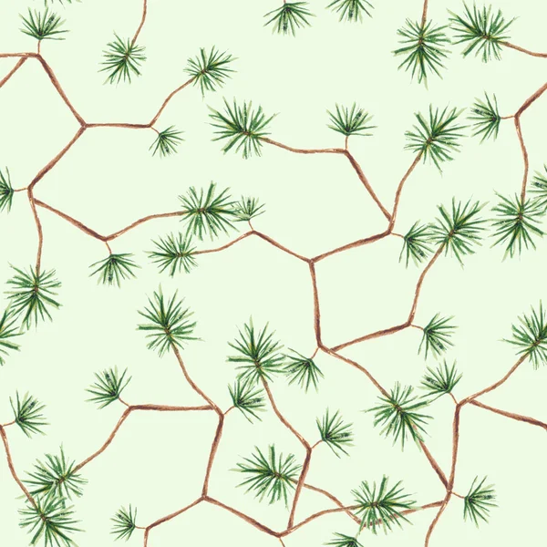 Mint Pine pattern. Stock Picture