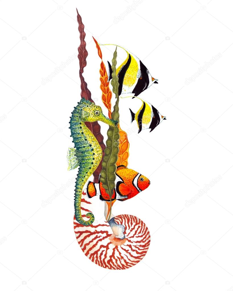 Watercolor Nautilus Shell, Seaweed, Seahorse & Tropical fish composition, isolated on white background. Elegant concept for Aquarium, Nautical tourism. Postcard, poster & textile design. Hand drawn illustration.