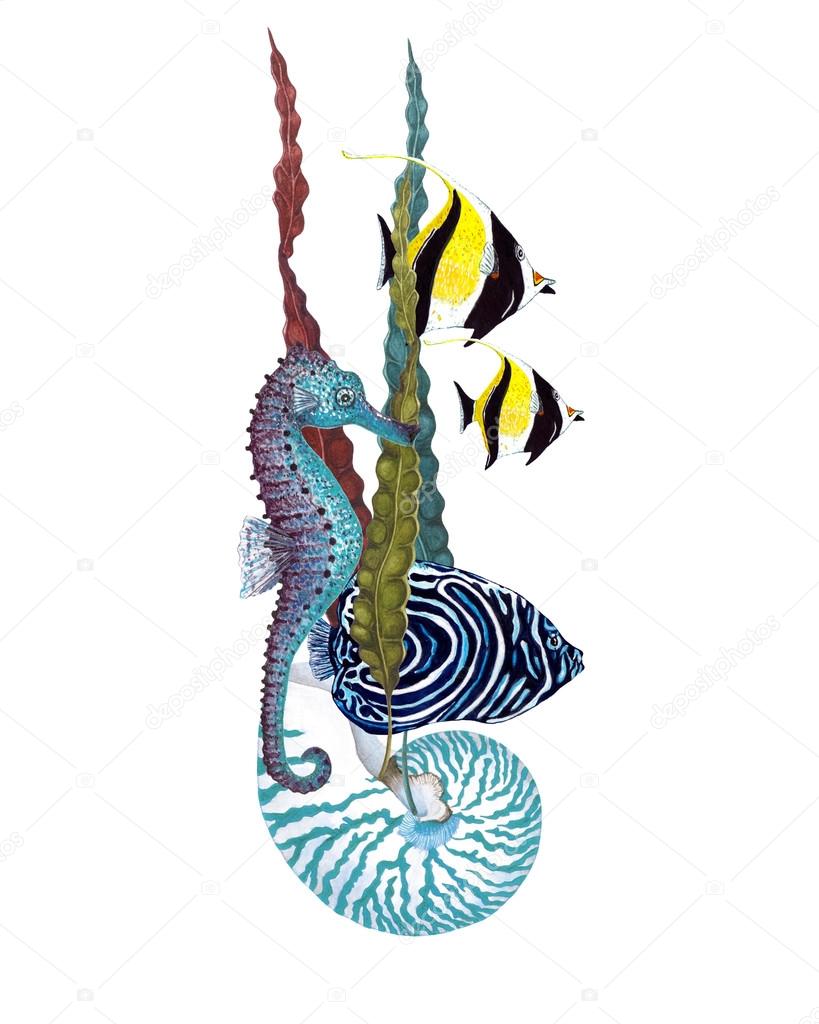 Watercolor Nautilus Shell, Seaweed, Seahorse & Tropical fish composition on white background. Elegant concept for Aquarium, Nautical tourism. Postcard, poster, textile design. Hand drawn illustration.