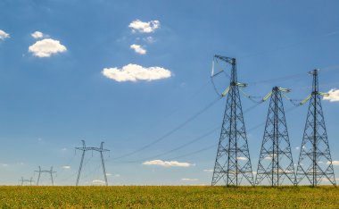 Ayçiçeği bir alanda yüksek gerilim elektrik hattı