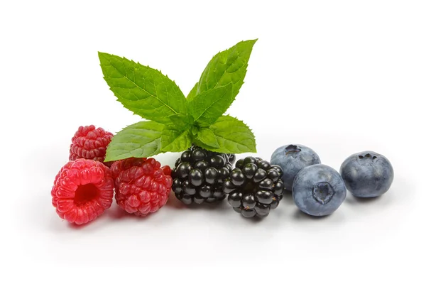 Frambuesas, arándanos y moras con menta sobre fondo blanco —  Fotos de Stock