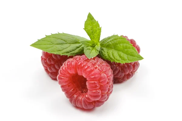 Fresh raspberry with green leafs of mint on white background Stock Picture