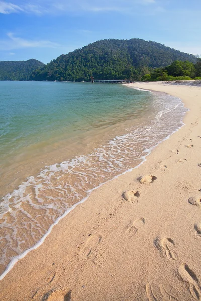 Beautiful Penang National Park, Pantai Kerachut — Stock Photo, Image