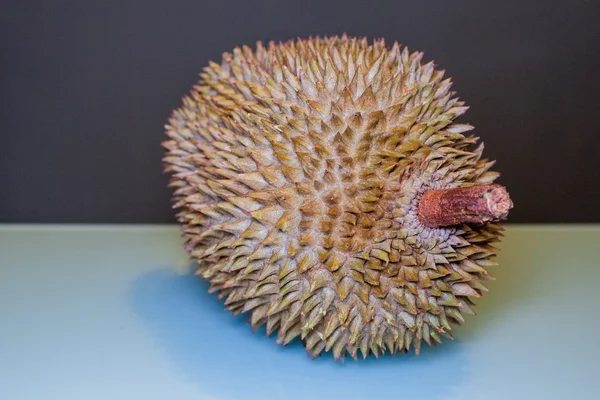 Král ovoce Durian připraven báječný s aqua a tmavě šedým pozadím — Stock fotografie