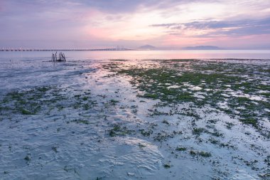 Penang beach gündoğumu göre çamur doku görüntüle