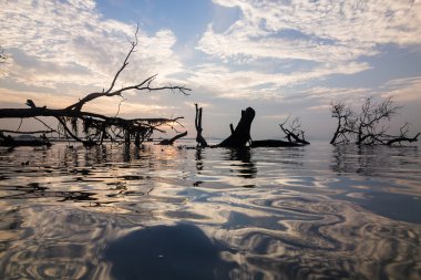 Penang beach göre gündoğumu görüntüle