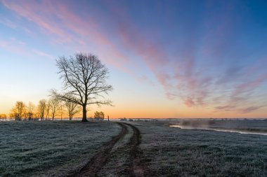 Przed wschodem slonca-Podlasie