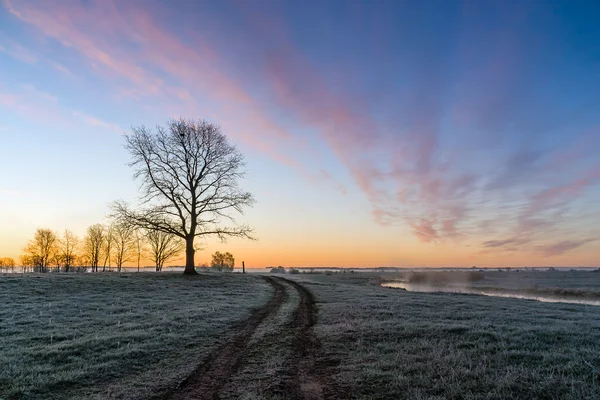 Przed wschodem slonca-Podlasie
