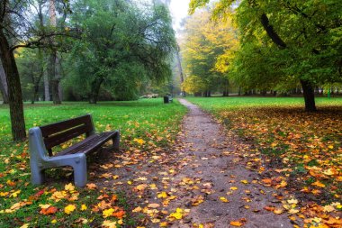 Park Zwierzyniec 'te Sonbahar, Biaystok, Podlasie