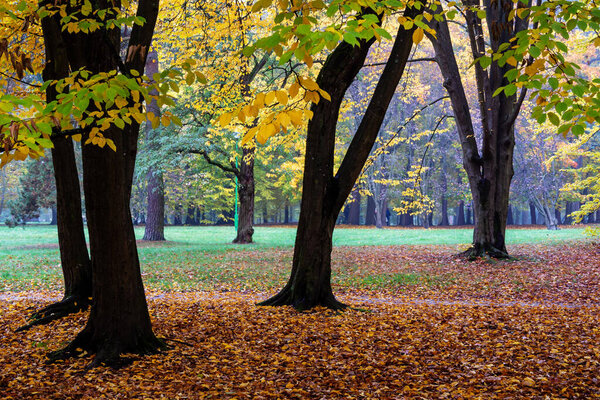 Осень в парке Звержинец, Бяйсток, Подляшье