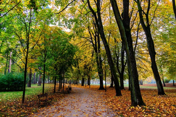 Jesień Parku Zwierzyniec Białystok Podlasie — Zdjęcie stockowe