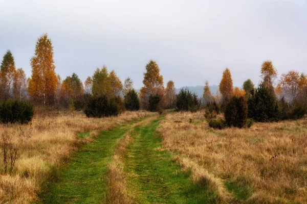 Paisaje Otoñal Podlasie Polonia — Foto de Stock