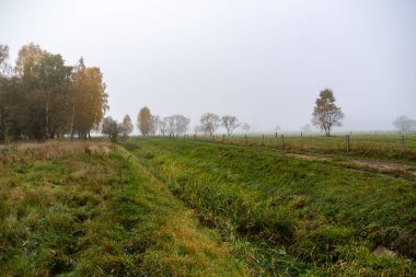 Polonya, Podlasie 'de sonbahar manzarası