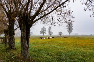 Polonya, Podlasie 'de sonbahar manzarası