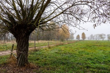 Polonya, Podlasie 'de sonbahar manzarası