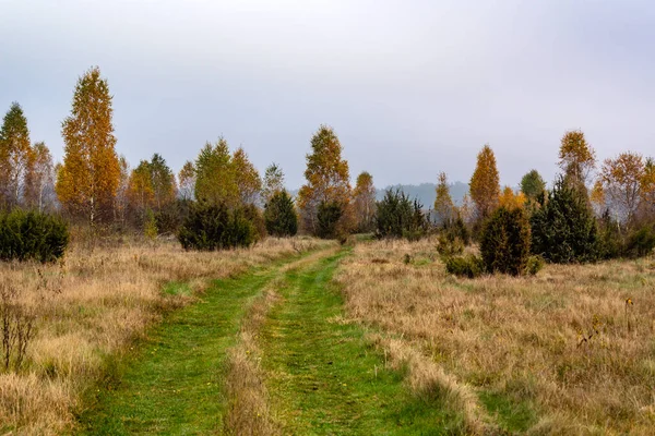 波兰波德拉西的秋季风景 — 图库照片
