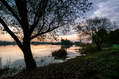 Dojlidy Gölü, Podlasie, Polonya 'da sakin ve sakin bir sabah.