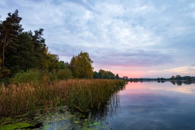Dojlidy Gölü, Podlasie, Polonya 'da sakin ve sakin bir sabah.