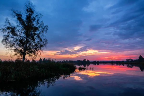 Manhã Calma Tranquila Nas Lagoas Dojlidy Podlasie Polônia — Fotografia de Stock
