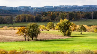 Polonya 'nın Podlasie kentindeki Narew Nehri' nin sonbahar manzarası