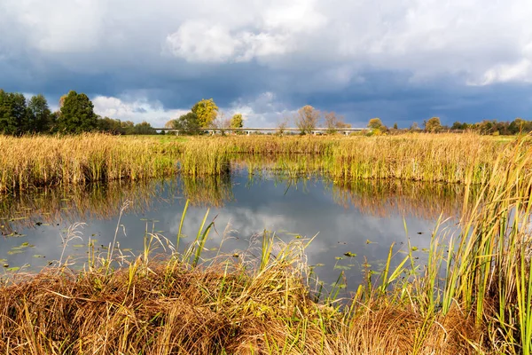 Őszi Táj Narew Folyó Völgyében Podlasie Lengyelország — Stock Fotó