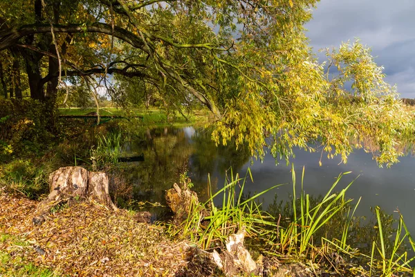 Őszi Táj Narew Folyó Völgyében Podlasie Lengyelország — Stock Fotó