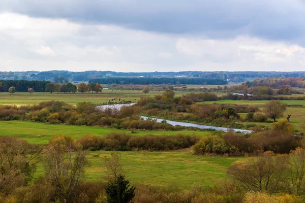 Paisaje Otoñal Del Valle Del Río Narew Podlasie Polonia —  Fotos de Stock