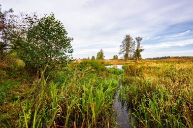 Narew Vadisi, Podlasie, Polonya 'da doğa ve ahşap mimari