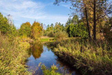 Narew Vadisi, Podlasie, Polonya 'da doğa ve ahşap mimari